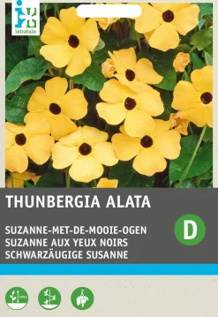 Intratuin Schwarzäugige Susanne (Thunbergia alata) Blumensamen