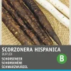 Intratuin Schwarzwurzel (Scorzonera hispanica 'Duplex') Samen