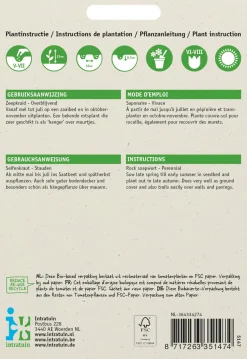 Intratuin Seifenkraut rosa (Saponaria ocymoides) Blumensamen