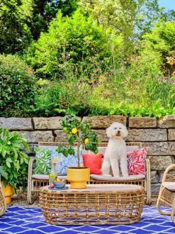 Intratuin 4-Sitzer Lounge-Set Jade naturell