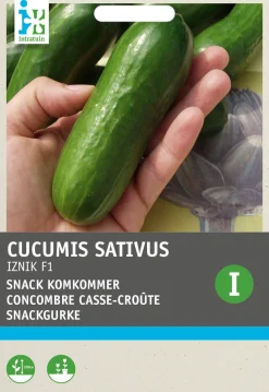 Intratuin Snackgurke (Cucumus sativus 'Iznik F1') Samen