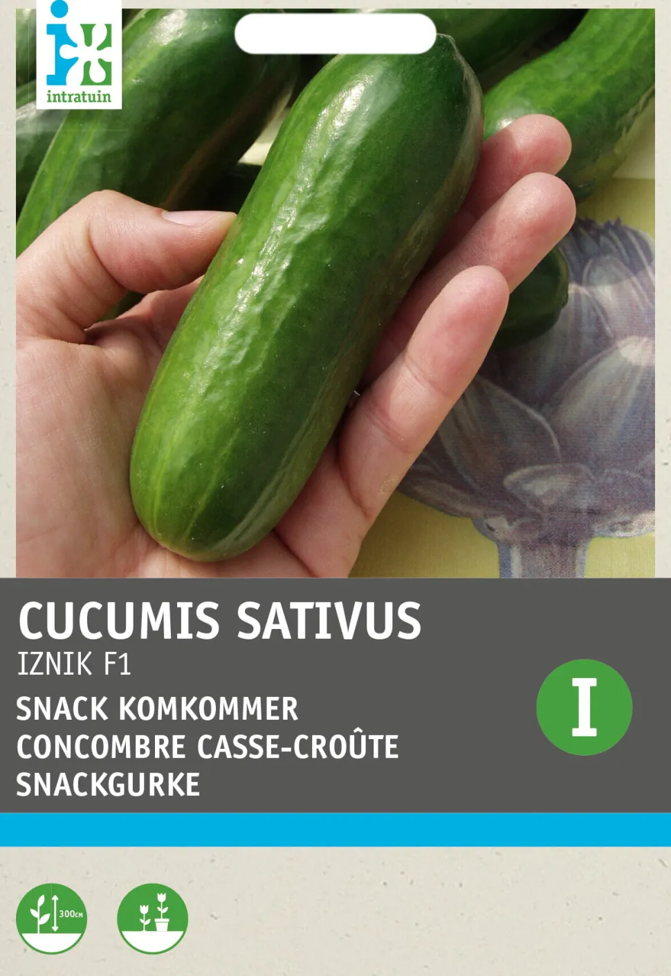 Intratuin Snackgurke (Cucumus sativus 'Iznik F1') Samen