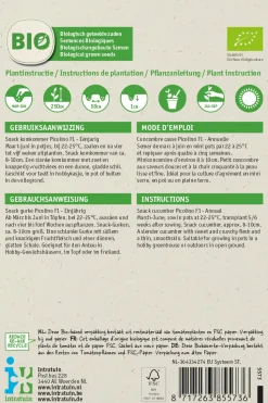 Intratuin Snackgurke (Cucumis sativus 'Picolino') (BIO) Samen