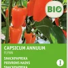 Intratuin Snackpaprika (Capsicum annuum 'Flyn oranje') (BIO) Samen