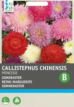 Intratuin Sommeraster (Callistephus chinensis 'Princesse') Blumensamen-Mischung