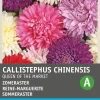 Intratuin Sommeraster (Callistephus chinensis 'Reine des Halles') Blumensamen