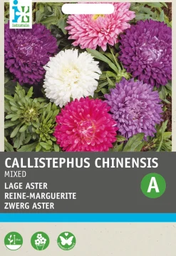 Intratuin Sommeraster (Callistephus chinensis) Blumensamen