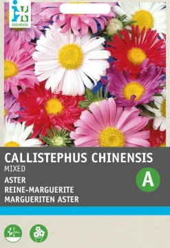 Intratuin Sommeraster (Callistephus chinensis) Blumensamen-Mischung