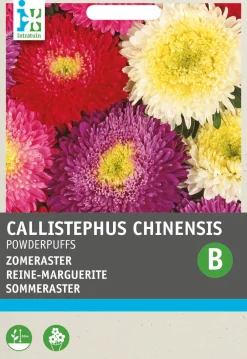 Intratuin Sommeraster (Callistephus chinensis 'Powderpuffs') Blumensamen