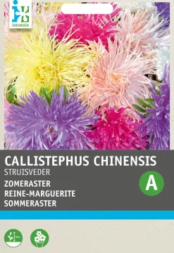 Intratuin Sommeraster gemengd (Callistephus chinensis) Blumensamen