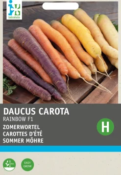 Intratuin Sommer-Möhre 'Regenbogen' (Daucus carota var. Sativus) Samen