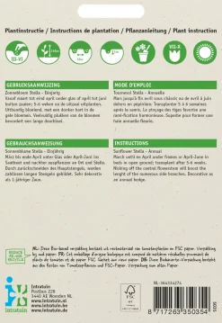 Intratuin Sonnenblume gelb (Helianthus debilis 'Stella') Blumensamen