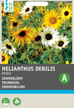 Intratuin Sonnenblume (Helianthus annuus) Blumensamen-Mischung