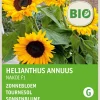 Intratuin Sonnenblume (Helianthus annuus 'Zohar F1') (BIO) Blumensamen