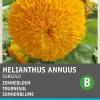 Intratuin Sonnenblume (Helianthus annuus 'Sungold') Blumensamen