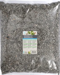 Intratuin Sonnenblumenkerne 2,5 kg