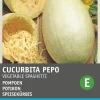 Intratuin Speisekürbis (Cucurbita 'Vegetable spaghetti') Samen