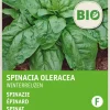 Intratuin Spinat (Spinacia oleracea 'Securo') (BIO) Samen