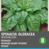 Intratuin Spinat (Spinacia oleracea 'Winterriesen') Samen