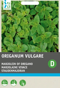 Intratuin Staudenmajoran (Origanum vulgare) Samen