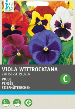 Intratuin Stiefmütterchen (Viola wittrockiana 'Schweizer Riesen') Blumensamen-Mischung