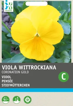 Intratuin Stiefmütterchen gelb (Viola wittrockiana 'Coronation gold') Blumensamen
