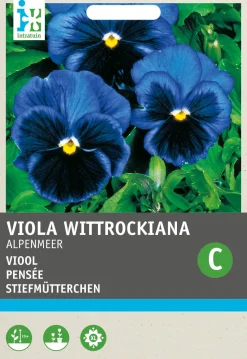 Intratuin Stiefmütterchen dunkelblau (Viola wittrockiana 'Alpensee') Blumensamen