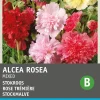 Intratuin Stockmalve (Althaea rosea 'Summer Carnival') Blumensamen