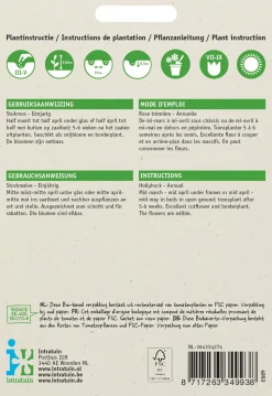 Intratuin Stockmalve (Althaea rosea 'Summer Carnival') Blumensamen