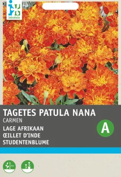 Intratuin Studentenblume rostbraun-gelb (Tagetes patula 'Carmen') Blumensamen