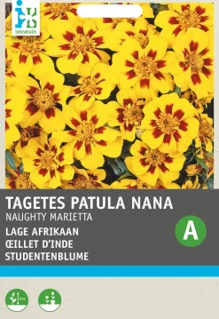 Intratuin Studentenblume goldgelb-braun (Tagetes patula nana 'Granada') Blumensamen