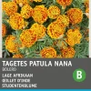 Intratuin Studentenblume (Tagetes patula 'Honeycomb') Blumensamen