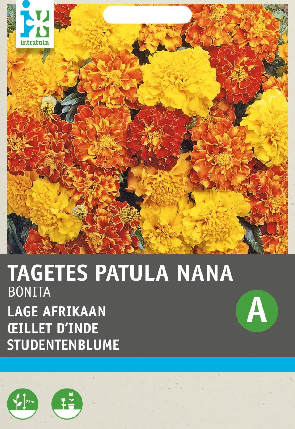 Intratuin Studentenblume (Tagetes patula nana 'Bonita') Blumensamen-Mischung