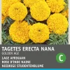 Intratuin Studentenblume gold-orange (Tagetes Golden Age') Blumensamen