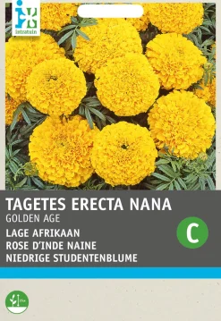 Intratuin Studentenblume gold-orange (Tagetes Golden Age') Blumensamen