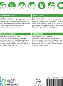 Intratuin Thymian Winter (Thymus vulgaris) Samen