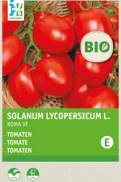 Intratuin Tomate (Solanum lycopersicum 'Roma') (BIO) Samen