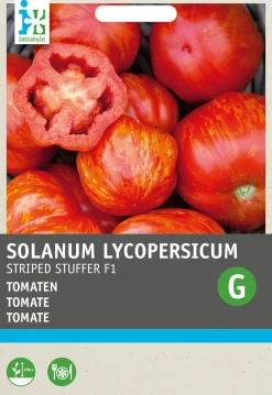 Intratuin Tomaten (Lycopersicon esculentum 'Striped Stuffer' F1) Samen
