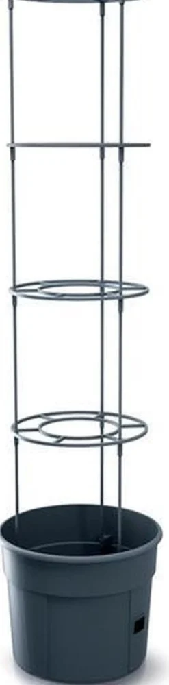 Intratuin Tomatentopf mit Rankhilfe 39 x 31,5 x 153 cm anthrazit