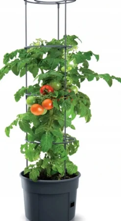 Intratuin Tomatentopf mit Rankhilfe 39 x 31,5 x 153 cm anthrazit