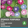 Intratuin Trichterwinde (Ipomoea purpurea) Blumensamen-Mischung