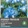Intratuin Trichterwinde (Ipomoea tricolor 'Clark's Blue') Blumensamen
