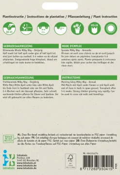 Intratuin Trichterwinde weiß (Ipomoea tricolor 'Milky Way') Blumensamen