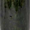 Intratuin Vase Cruz grün D 15 H 28 cm