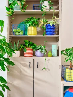 Intratuin Vase Menno grün D 10,5 H 23 cm