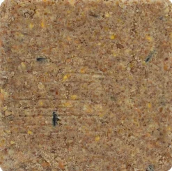 Intratuin Vogelfutter Fettblock 10 x 3,5 x 10 cm