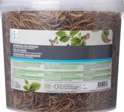 Intratuin Vogelfutter getrocknete Mehlwürmer 860 g
