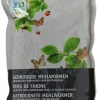 Intratuin Vogelfutter getrocknete Mehlwürmer 150 gr