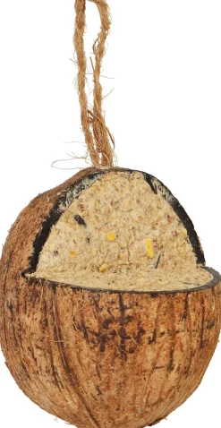Intratuin Vogelfutter Kokosnuss D 9,2 cm H 10 cm