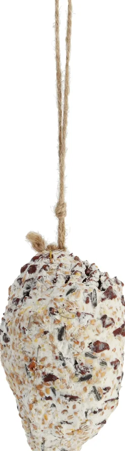 Intratuin Vogelfutter Tannenzapfen D 5 cm H 8 cm